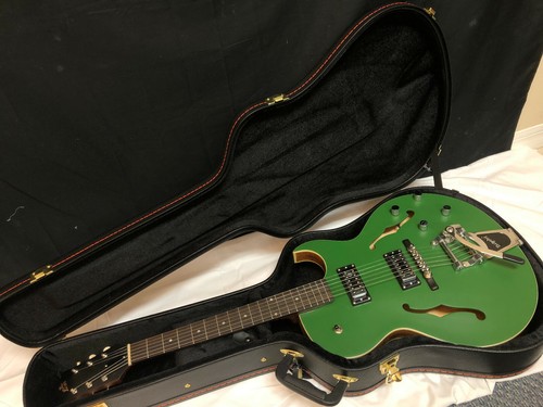 The loar electric hollwobody - electric,